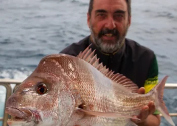 Catastrophic outlook for WA’s fishing charters