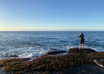 Popular Sydney fishing spot under threat