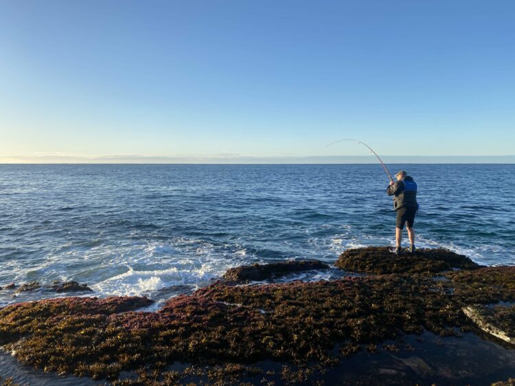 Popular Sydney fishing spot under threat