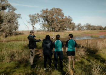 Whittaker’s Lagoon living classroom comes to life