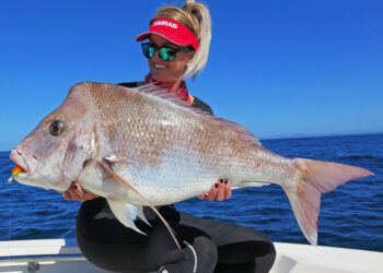 Big winter snapper