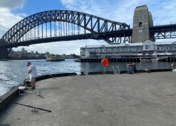Do you fish Sydney’s Walsh Bay?