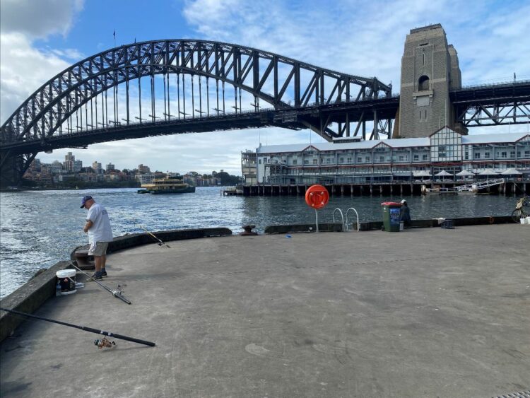Do you fish Sydney’s Walsh Bay?