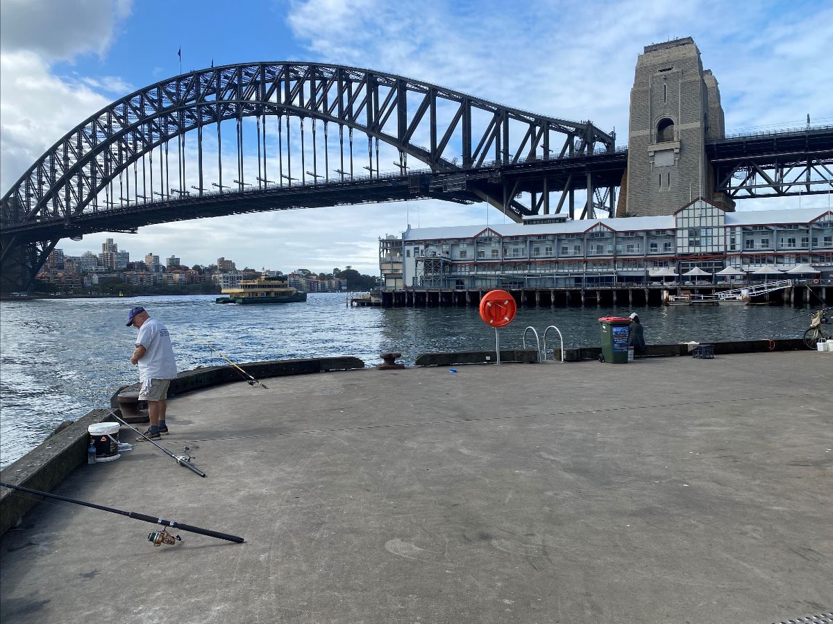 Do you fish Sydney's Walsh Bay? Fishing World Australia