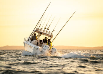 The Seafarer Vagabond has been reborn