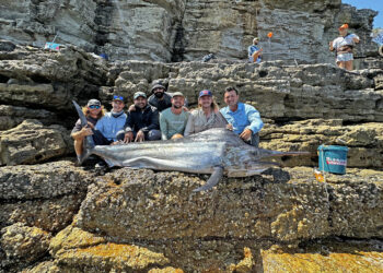Land-based black marlin record caught at Jervis Bay