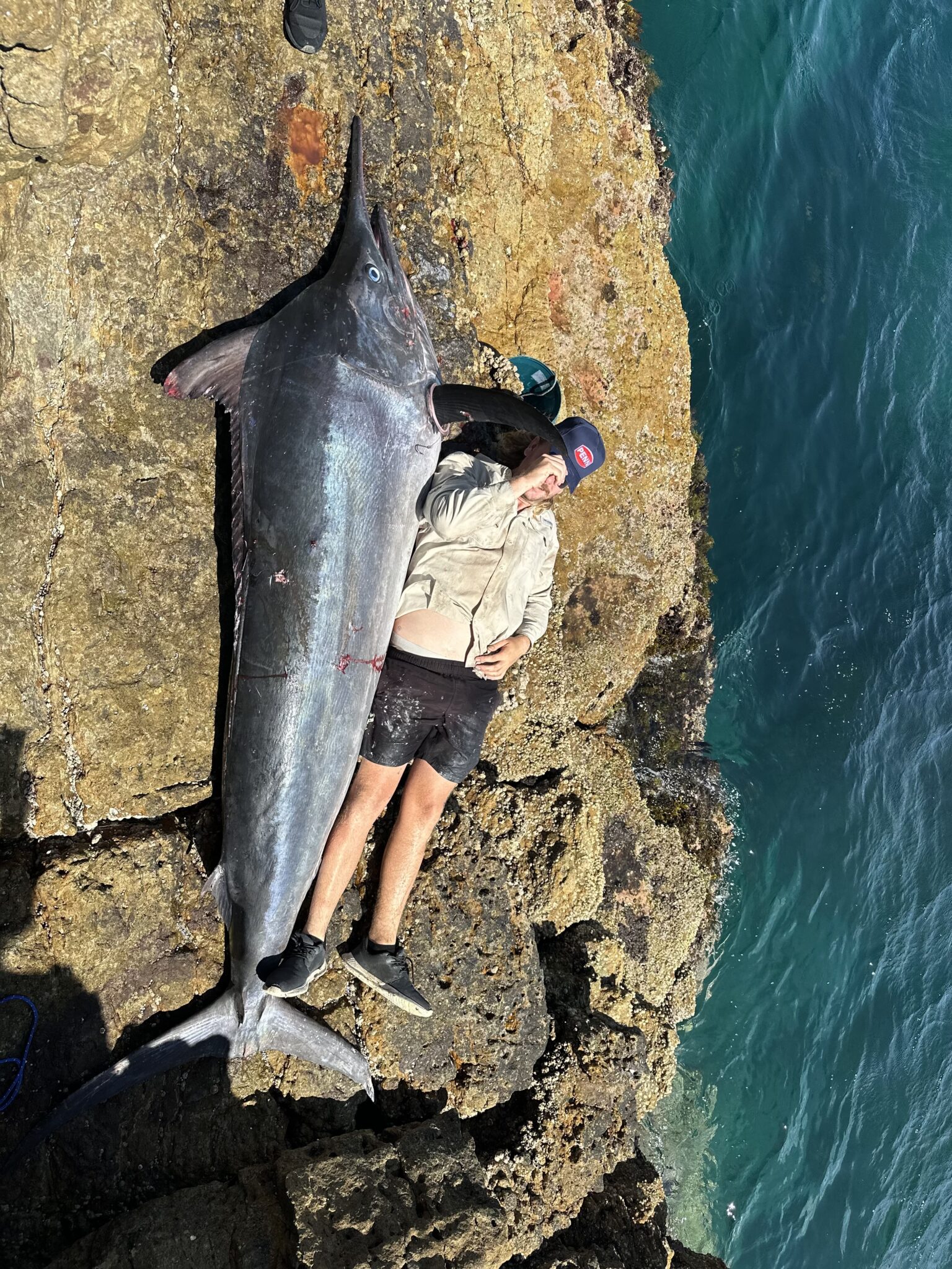 Landbased black marlin record caught at Jervis Bay Fishing World