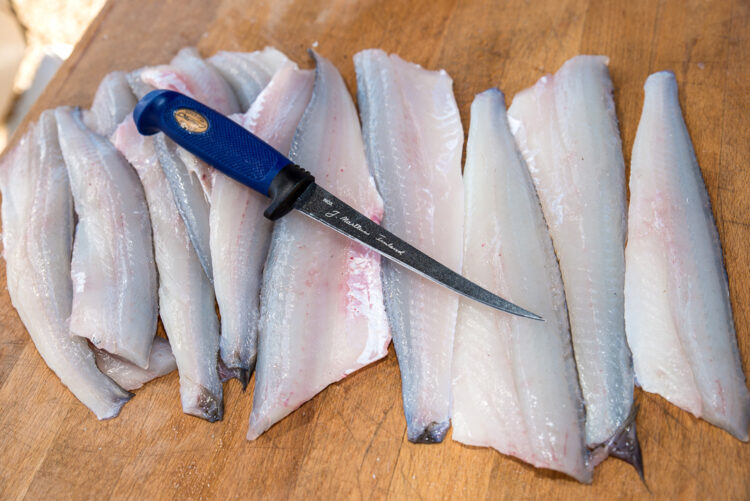 Catch and Cook King whiting Fishing World Australia