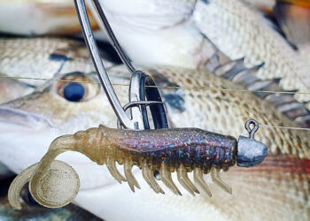 WIN: Rapala CrushCity giveaway