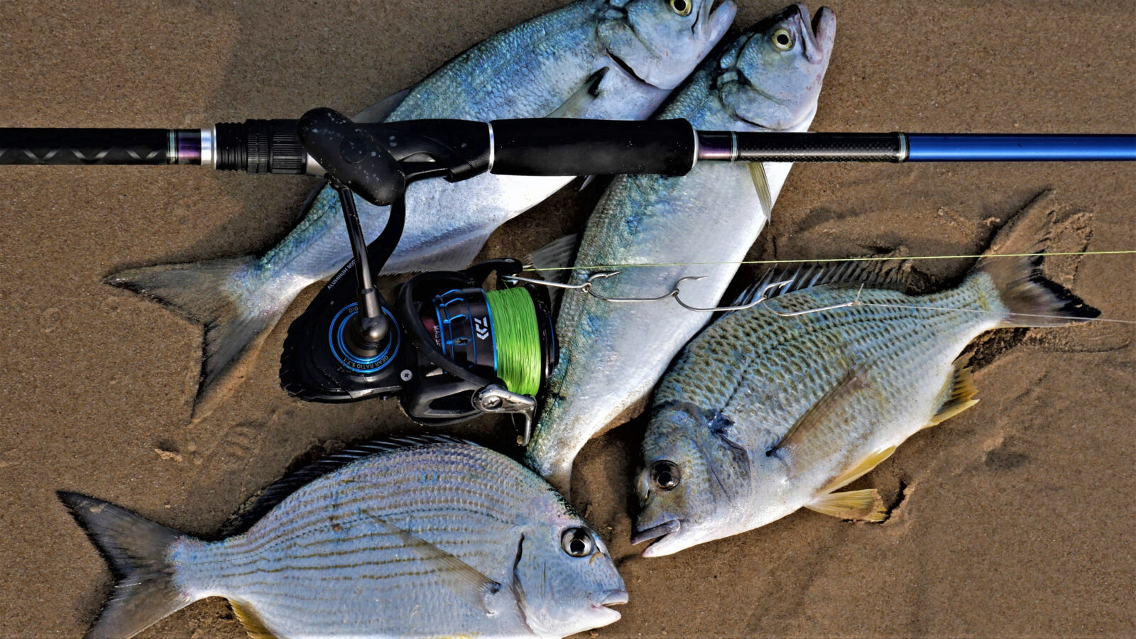 Reel and Grill: Mixed Bag of Fish Caught Shore Fishing in Sri Lanka