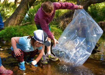 More trout for the Turon