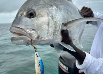 PHOTO GALLERY: A week in the Solomons