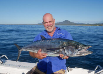 How to catch mackerel