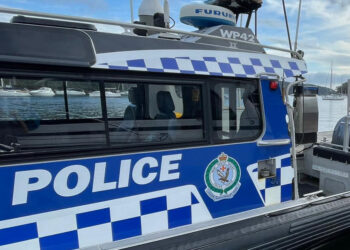 Fisherman dies after whale collides with boat