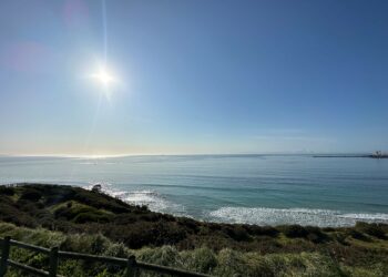 Portland Bay netting consultation underway
