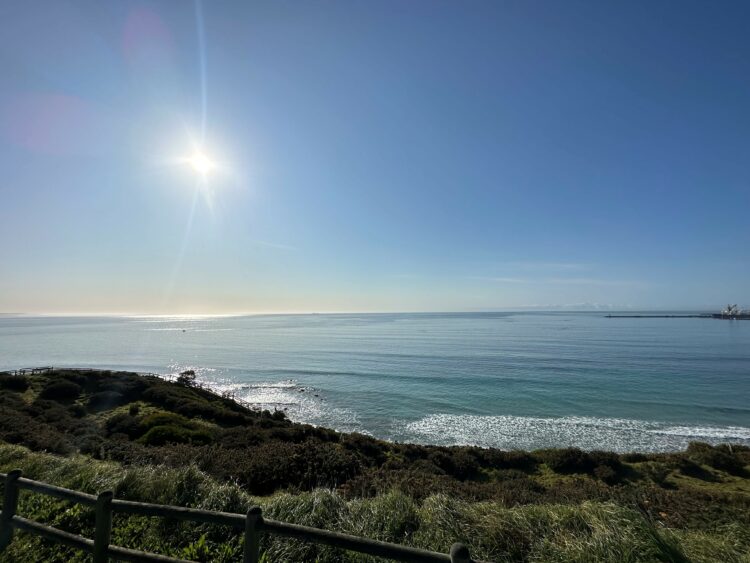 Portland Bay netting consultation underway