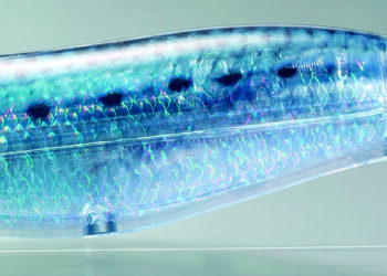 Shimano Sephia Clinch Long Appeal