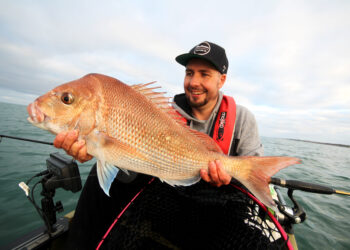 Melbourne snapper mission