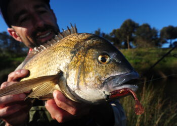Tight water bream
