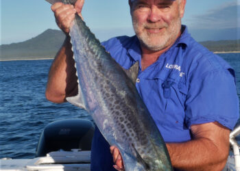 How to catch mackerel