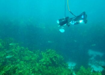 NSW sea floor images now available