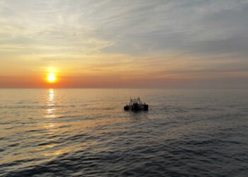 Offshore artificial Reefs installed at Forster and Central Coast