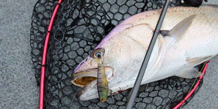 Estuary Lure Techniques