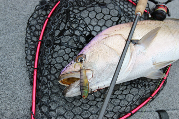 Estuary Lure Techniques