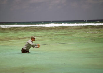 How to choose fishing sunglasses