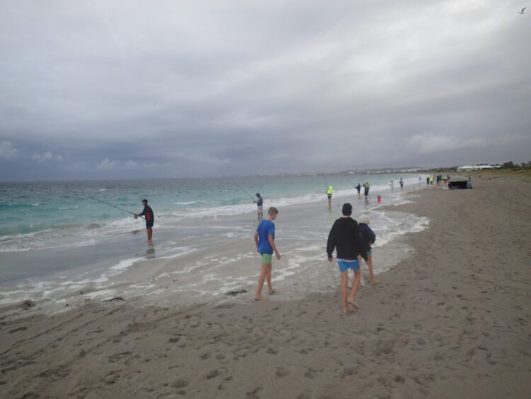 OPINION: Shark ban madness