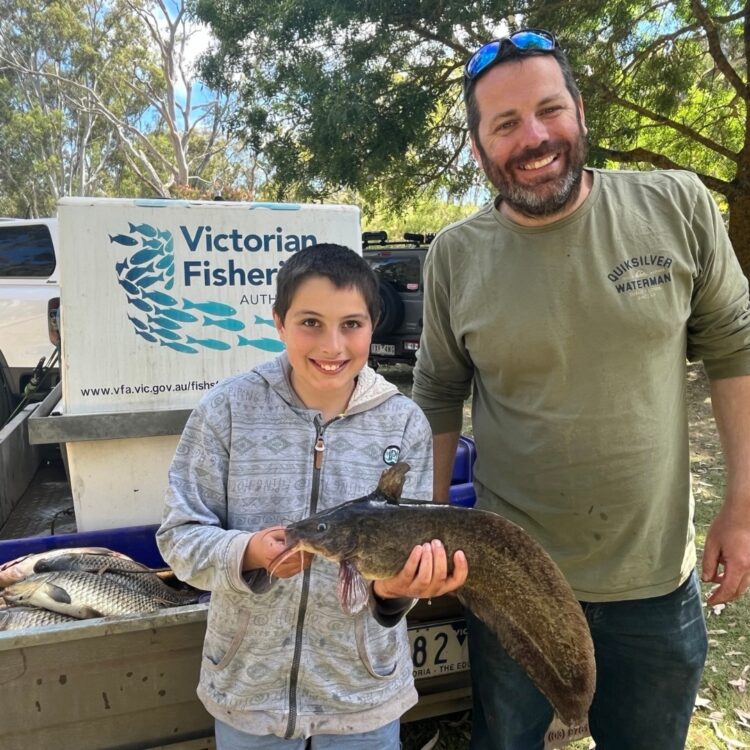 Catfish make a comeback