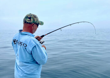 The long rod revolution