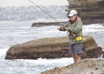 ENVIRONMENT: Crown land? Our land?