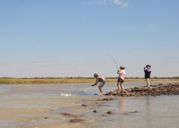 More $10k Top End barra caught