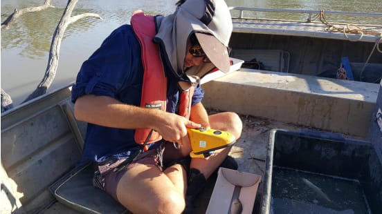 OzFish launches freshwater tagging program across Murray-Darling Basin