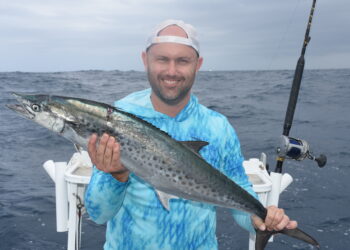 Spotted mackerel basics