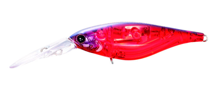 Shimano Bantam Enber 60SP