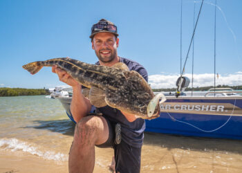 Shallow Water flathead