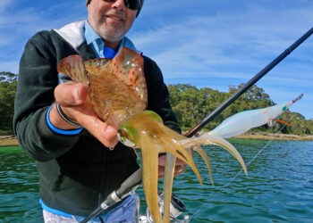 New age squid techniques