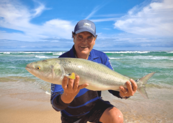 WA Marine Park public consultation postponed