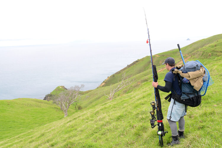 Summer fishing strategies