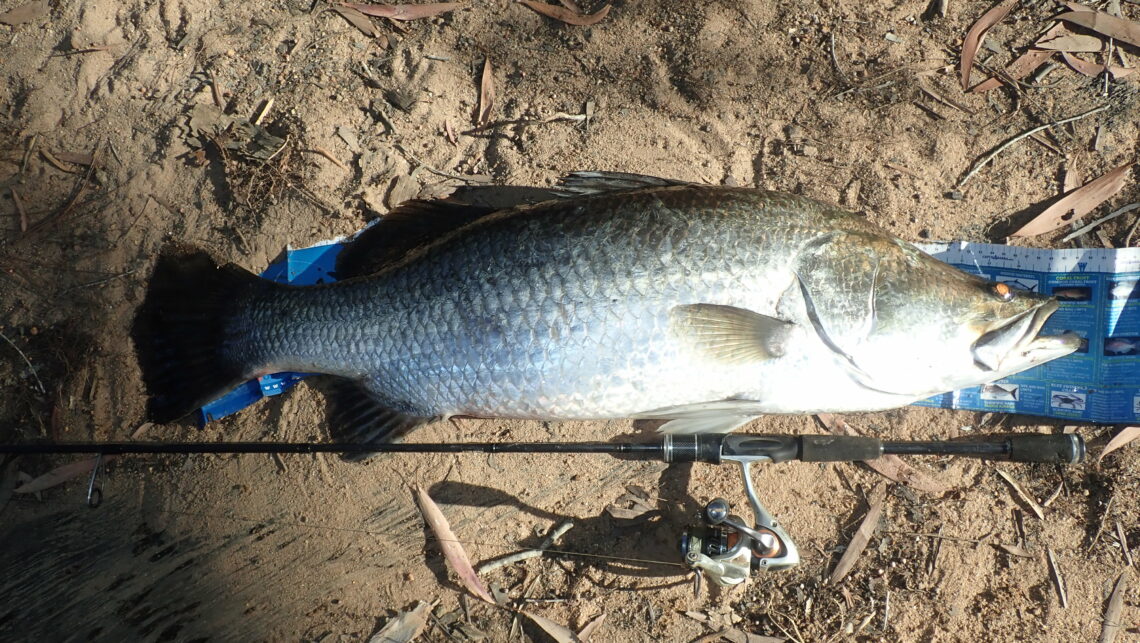 Cape York Boatless and bank bound Fishing World Australia