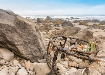 Great Aussie Crab Pot Recovery launches with call for community input