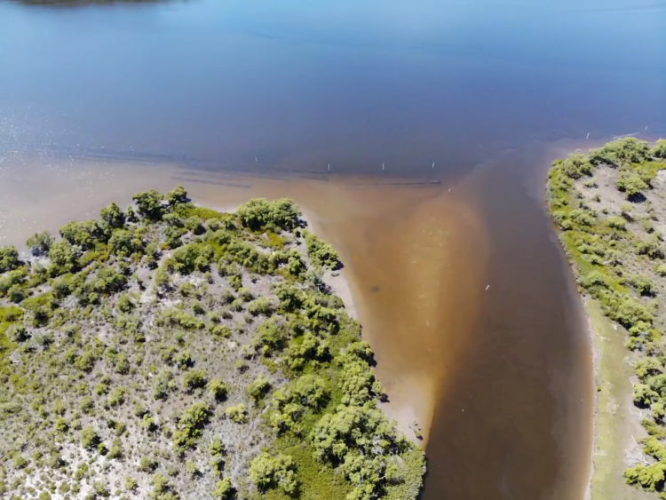 Fishing After Floods