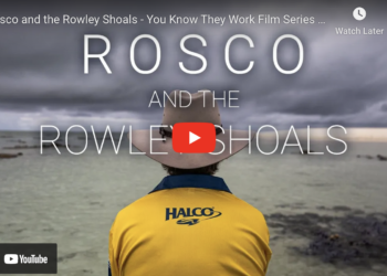 VIDEO: You Know They Work trailer