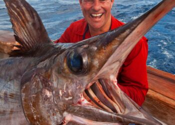 Tim Simpson receives IGFA award