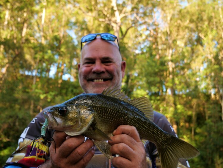 Bellinger River bass