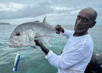 Escape to the Solomon Islands
