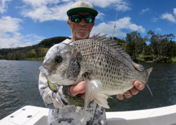 Best conditions for fishing success