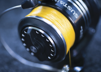 Fishing Line: What is PE Rating